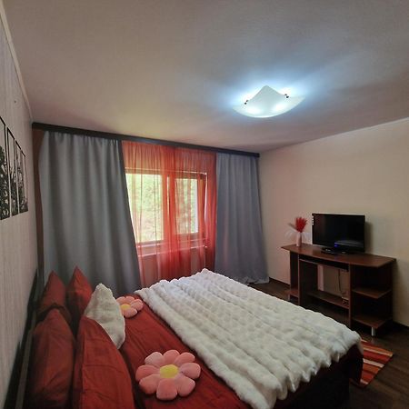 Apartament Red & Yellow Slănic-Moldova Εξωτερικό φωτογραφία