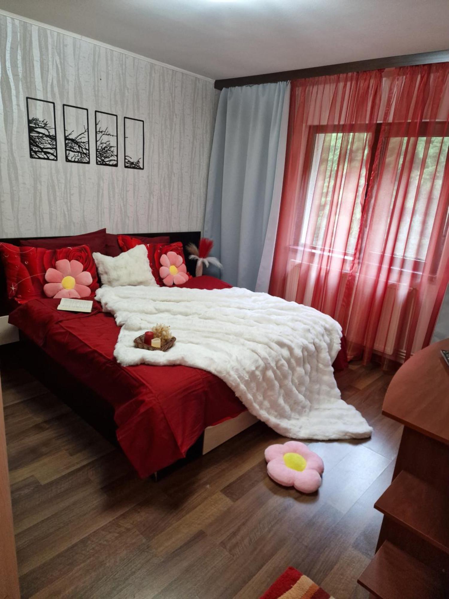Apartament Red & Yellow Slănic-Moldova Εξωτερικό φωτογραφία